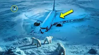 Scientists Found a Plane Buried in Arctic Ice &mdash; What They Discovered Inside Shocked Everyone!