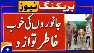 Take care of animals as Eid approaches | Breaking News