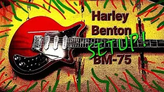 НАСТРОЙКА Harley Benton BM-75!
