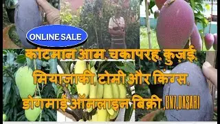 ऑनलाइनsale:-कटिमोन आम,चकापरह, क़ुज़ई, मियाज़ाकी, टोमी और किंग्स, डोगमाई,bn7,r2e2,whats app9733475747
