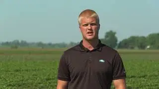 NK17-M2XF: Trusted Genetics Brings Excellent Yield Potential