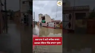 ਨਵਾਂਸ਼ਹਿਰ : ਲਗਾਤਾਰ ਪੈ ਰਹੀ ਬਾਰਿਸ਼ ਕਾਰਨ ਜਲਥਲ ਹੋਇਆ ਪਿੰਡ ਭਾਰਟਾ ਖੁਰਦ, ਦੇਖੋ ਤਸਵੀਰਾਂ।#PB_32_Nawanshahr