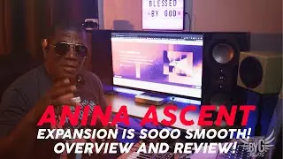 The New Anima Ascent Expansion Overview and Review