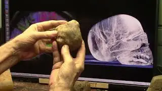 Хрустальный череп сертифицирован ведущим мировым экспертом по сохранению мягких тканей