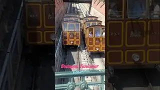 Kr&oacute;tki rzut oka na Zamek Kr&oacute;lewski w Budapeszcie 🏰 #Shorts #youtubeshorts #travel #hungary #trending
