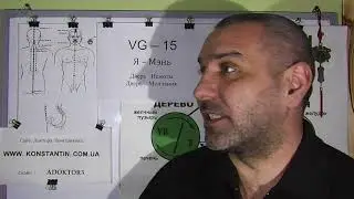 Отыскиваем точку Я-Мэнь VG-15.