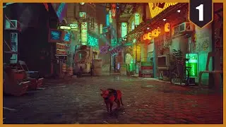 The Best Indie Game I've Ever Played! | Stray Part 1