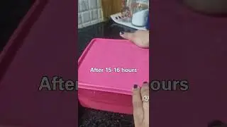 No soda , No eno | Perfect soft & spongy Idly recipe 😋  #viralvideo #youtube #youtubeshorts #shorts
