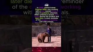The Final Moments of Animal Trainer Stephan Miller #shorts