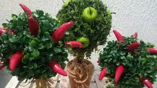 vem com migo fazer topiaria artesanal pra decorar sua casa 🏡