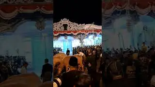 kirab kerbau satu suro di Solo #kerbau #shortvideo #budayasolo