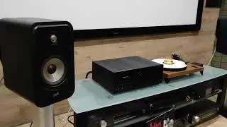 Polk Audio Signature Elite ES20 и Magnat MA 900