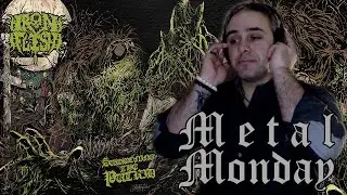 Iron Flesh - Summoning the Putrid (2020) METAL MONDAY