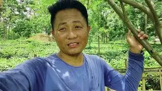 Hybrid Litchi and Betel nut Plantation blog// All Rounder Akabo Family