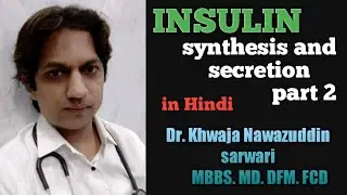 Insulin | Physiology | In Hindi | Endocrine Pancreas | Structure |  Synthesis | Secretion | MBBS |
