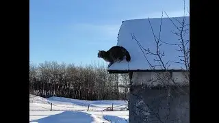 Northern Alberta Holidays 2024