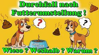 Hund hat Durchfall trotz Futterumstellung auf gutes Hundefutter ? DAS sind die Ursachen daf&uuml;r! 💩