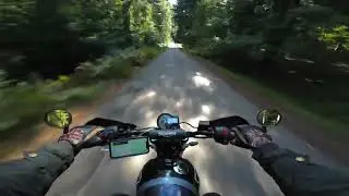 Triumph 400x: New Forest Ride