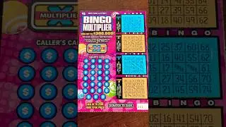 Bored?? Watch Me Play BINGO! #scratchers #scratchofftickets #gambling #lottery #nylottery