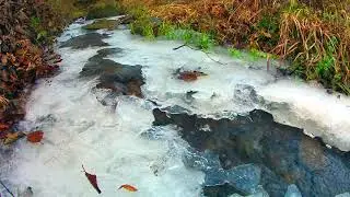 Calming Frozen Forest Stream. Relaxing Nature Sounds. (10 hours). White noise for sleeping.