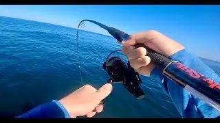 Trolling Florida FADs (Fish Aggregating Device) for Wahoo 75+ miles out in the Gulf of Mexico!!