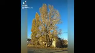 Алешники Медведицкая гряда ☝️💋 деревня любимая 💋 Волгоградская область Жирновский район ✌️✌️✌️