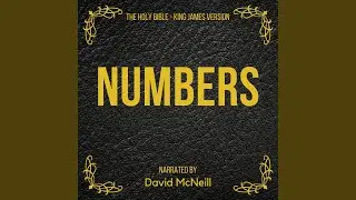 Numbers, 32