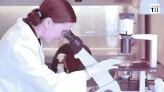 Genetically Modified Embryos