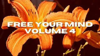 Free Your Mind Meditation Music (Volume 4)