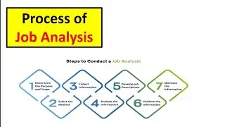 #19 PROCESS OF JOB ANALYSIS | Complete step by step procedure explained | Complete HRM | Rishu Udit