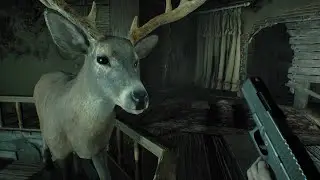 RESIDENT EVIL 7. Sky Hunter shadow puzzle! The Drawing Room found! Horror gameplay PS5 60FPS 