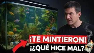 “Estos mitos están arruinando tu acuario (y tu bolsillo)”