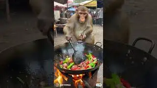 monkey cooking chicken 🤯🙈 #shorts #ai
