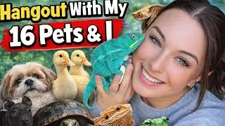 Hangout With My 16 Pets & I (new additions) 