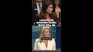 Leavitt on Navarro-Musk: &lsquo;boys will be boys&rsquo;