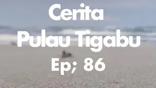 Cerita Pulau Tigabu ep: 86