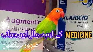 Birds Medicine Questions / Answers.