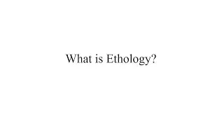 What is Ethology ?