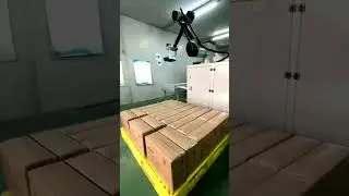 Collaborative Robot Palletizing Workstation for Cartons & Boxes#cobot #depalletizing #palletizing
