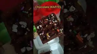 Chocolate WAFFEL || চকোলেট Waffel from Restaurant #waffel #chocolate #restaurant #shorts