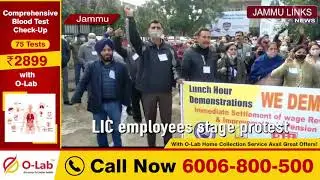 LIC employees stage protest