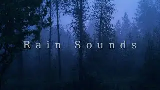 1 Hour Relaxing Forest Rain Thunder Sounds 🌧️ ASMR | Deep Sleep, Meditation & Stress Relief