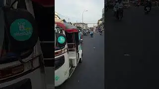 Phnom Penh, Cambodia - Chicken, Duck, and Goose BBQ Spit - March 2024