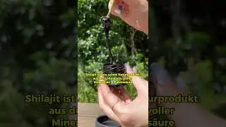 Kaffee-Alternative entdeckt: Shilajit im Test