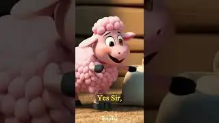 Baba Pink Sheep