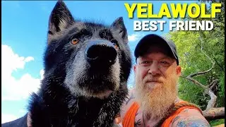 Yelawolf - Best Friend (Man's Best Friend Remix)