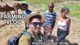 জামাই আদরে বান্ধবী ঘুরালো পুরো কৃষি খামার 😍🐄 | Madagascar Village Life Vlog