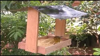 Comedouro Para Pássaros de Material Reciclado