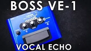 BOSS VE 1 Vocal Echo