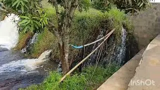 ESTAMOS NA REGIÃO DA BAIXA ALEGRE  ZONA RURAL DE MUTUIPE 17 01 2026 
